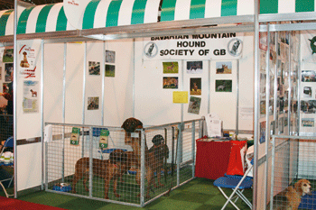 Crufts removes shooting pictures