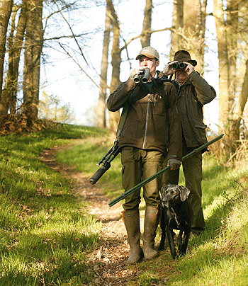 Roe stalking: Into the Woods