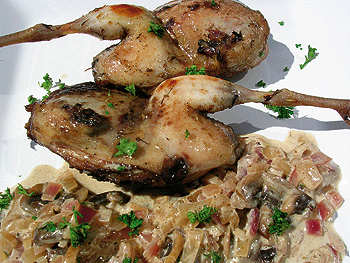 Game Chef