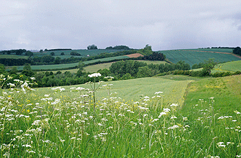 Loddington celebrates 20 years