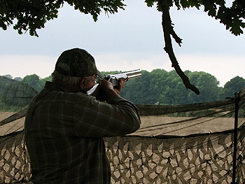 Law reforms for shooting