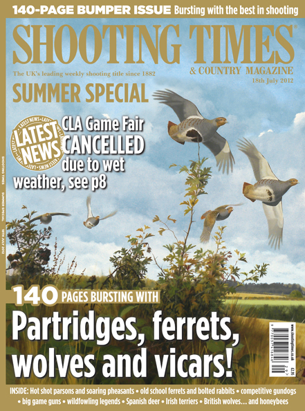 Bumper Summer Special!