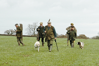 Wildlife laws set for major overhaul