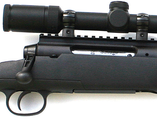 Savage Axis .22-250 review