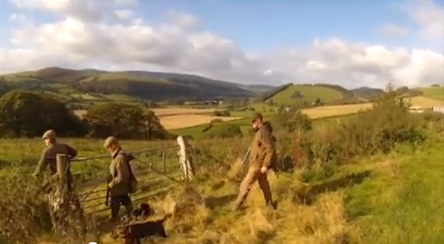 Roughshooting in Wales 