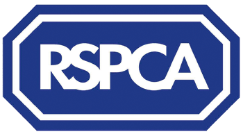 RSPCA returns dog after a year