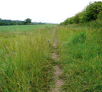 Scotland: snaring law made clear