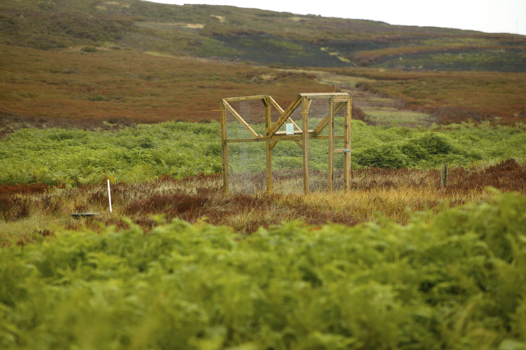 Keeper convicted in cage trap case