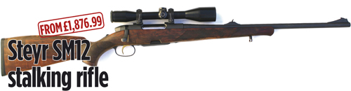 Steyr SM12 stalking rifle